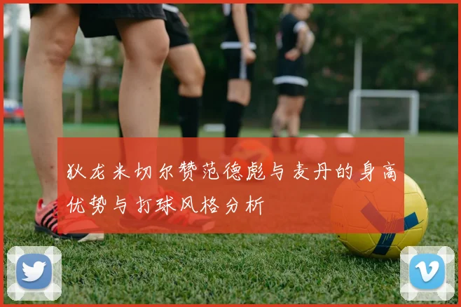 狄龙米切尔赞范德彪与麦丹的身高优势与打球风格分析
