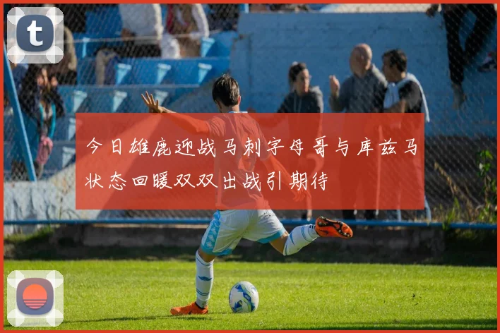今日雄鹿迎战马刺字母哥与库兹马状态回暖双双出战引期待