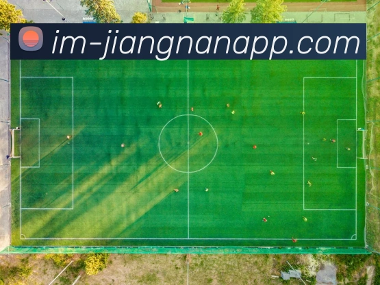 江南体育平台生态图