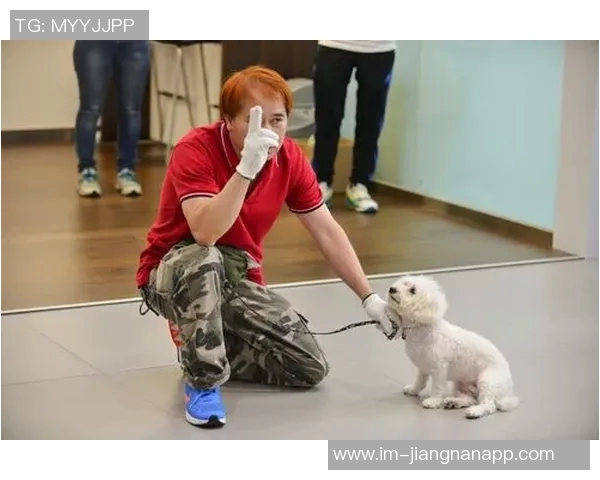 悬赏金激增至两万美元拉姆塞全力寻回心爱爱犬